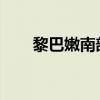 黎巴嫩南部多地遭以军袭击引发大火