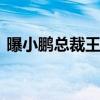 曝小鹏总裁王凤英离职 本人朋友圈亲自辟谣