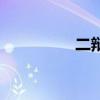 二辩需要干什么（二辩）
