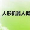 人形机器人概念大幅走弱 北特科技触及跌停