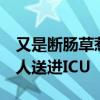 又是断肠草惹祸！广东一家五口喝汤中毒：2人送进ICU