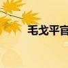 毛戈平官宣陈丽君为美妆光影大使