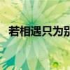 若相遇只为别离宋韶华（若相遇只为别离）