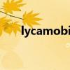 lycamobile设置apn（lycamobile）