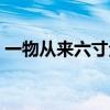 一物从来六寸全诗的意思（一物从来六寸长）