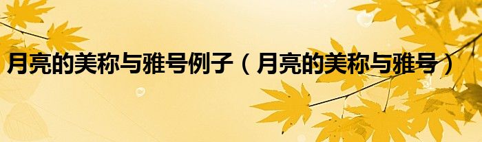 月亮的雅称和美号（月亮的美称或雅号是什么）