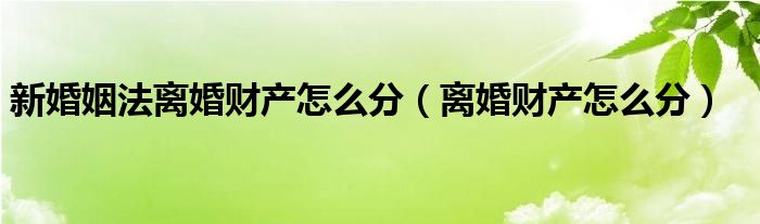 双方同意离婚协议书怎么写（双方同意离婚财产有纠纷怎么离婚）