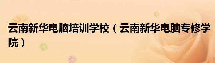 昆明云南新兴职业学院（昆明云南新华电脑专修学院）