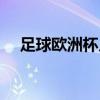 足球欧洲杯几年一次（欧洲杯几年一届）