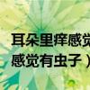 耳朵里痒感觉有虫子是怎么回事（耳朵里面痒感觉有虫子）