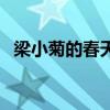 梁小菊的春天演员表介绍（梁小菊的春天）