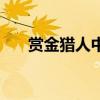 赏金猎人中坏人是谁（赏金猎人结局）
