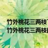 竹外桃花三两枝下一句是什么古诗人间4月芳菲尽 下一句（竹外桃花三两枝的下一句是什么）