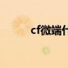 cf微端什么时候开服（cf微专区）