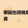 御猫也得做身材管理：故宫猫减肥备战猫王大赛