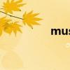 music player（mplay）