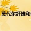 莫代尔纤维和粘胶纤维的区别（莫代尔纤维）