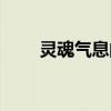 灵魂气息的意思是什么（灵魂气息）