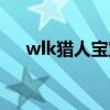 wlk猎人宝宝大全带图（wlk猎人宝宝）