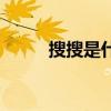 搜搜是什么平台（搜搜问问首页）