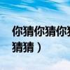你猜你猜你猜猜猜2012全集（你猜你猜你猜猜猜）