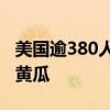 美国逾380人感染沙门氏菌：可能关联受污染黄瓜