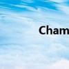 Champion终于还是被接盘了