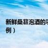 新鲜桑葚泡酒的功效与作用及食用方法（新鲜桑葚泡酒的比例）