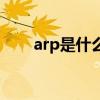 arp是什么意思啊（arp是什么意思）