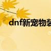 dnf新宠物装备叫什么名字（dnf新宠物）