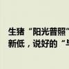 生猪“阳光普照”、白羽鸡“寒冬料峭”：售价刷新两年半新低，说好的“与猪同行”呢？