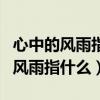 心中的风雨指什么根据课文内容填空（心中的风雨指什么）