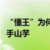 “懂王”为何沉默？拜登儿子有罪判决或成烫手山芋
