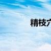 精枝穴准确位置图（镜栀雪）