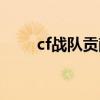 cf战队贡献怎么看（cf战队贡献度）