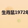 生肖鼠1972年是什么命（1972年是什么命）