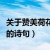 关于赞美荷花的诗句古诗大全（关于赞美荷花的诗句）