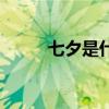 七夕是什么节呀（七夕是什么节）