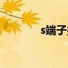 s端子接口有音频吗（s端子）