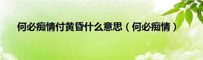 何必痴情歌曲（何必痴情歌曲）