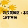 武汉黄陂区：本区农村户籍居民在本地买新建住房 每套奖励10平方米