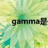 gamma是什么参数（gamma是什么）