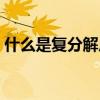 什么是复分解反应初中（什么是复分解反应）