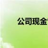 公司现金管理制度（现金管理制度）