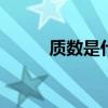 质数是什么意思（zj是什么意思）