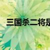 三国杀二将是什么意思（三国杀二将成名）