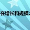 在增长和规模之外，寻找企业成熟进步的标志