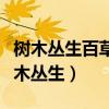 树木丛生百草丰茂秋风萧瑟洪波涌起画面（树木丛生）