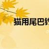 猫用尾巴钓鱼的电影（猫用尾巴钓鱼）