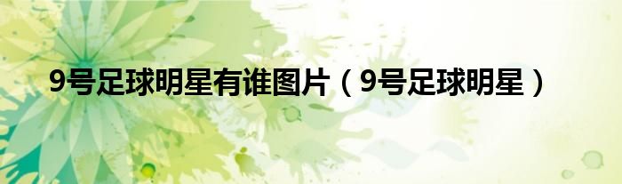 足坛9号球星（9号足球明星有哪些）